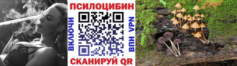 Псилоцибиновые грибы ЛСД  Кизел 